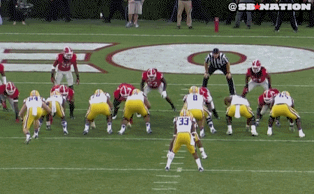 LSUTD2.gif