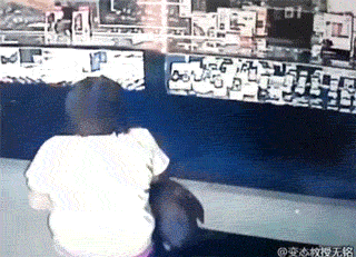 wtf-1.gif
