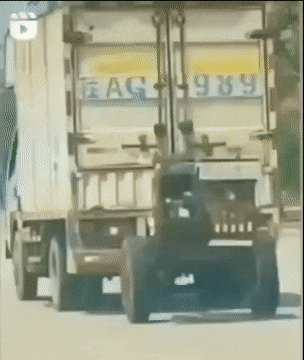 TreesTurning0426.gif