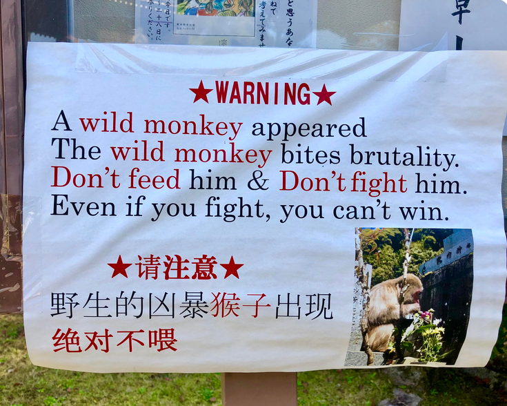 2fa21f6eb56cb42731015a9c4eb4aa14.png