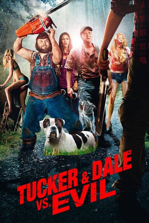 www.themoviedb.org
