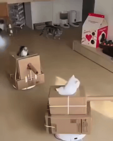 BlackFriday8183.gif