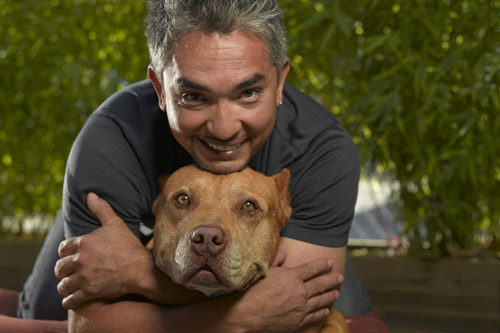 muttnews.wordpress.com