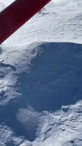 DogDays6915.gif