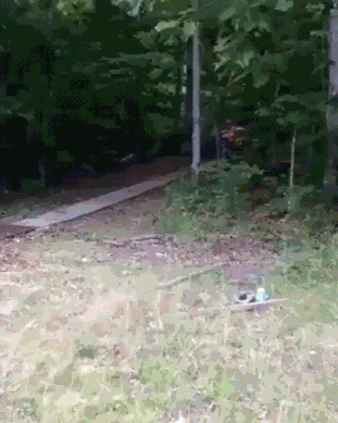 daily_gifdump_2904_01.gif