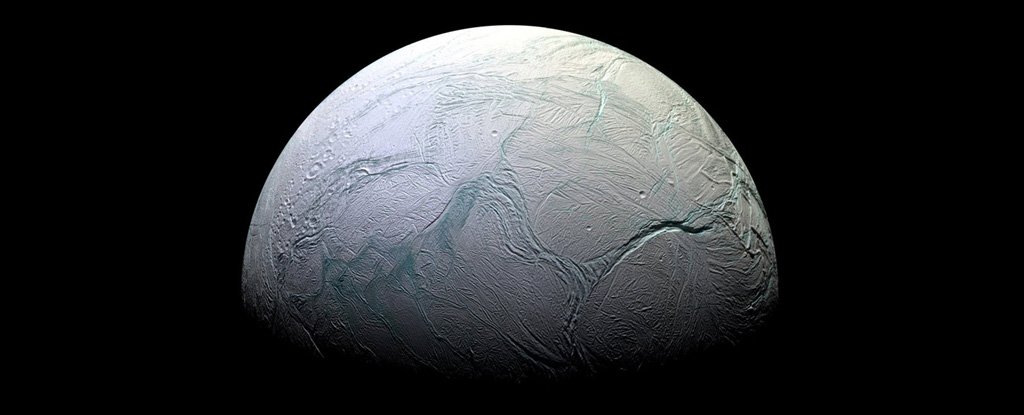 www.sciencealert.com