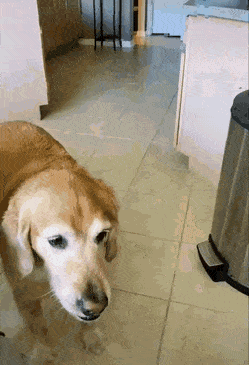 decembercron-73.gif