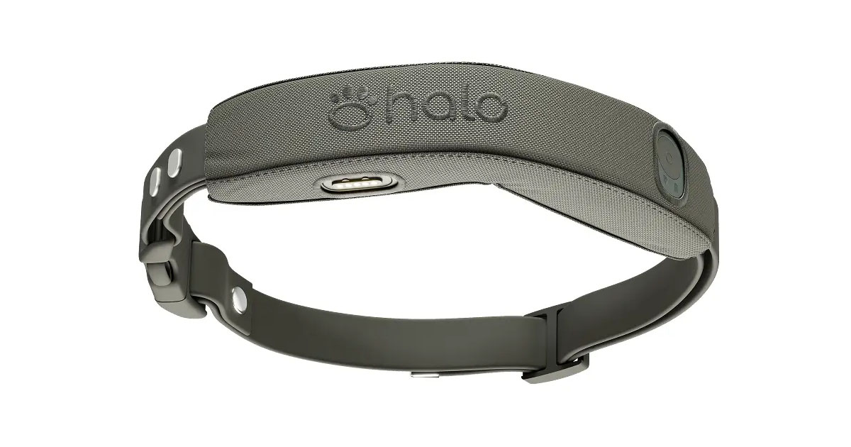 www.halocollar.com