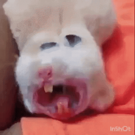 covitine-3.gif