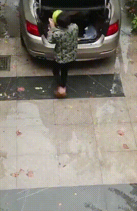 23c569336ac0dc4a9d80b8ae43dcd9fd.gif