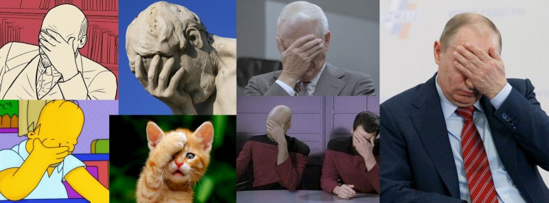 facepalmpolitics-800x296.jpg