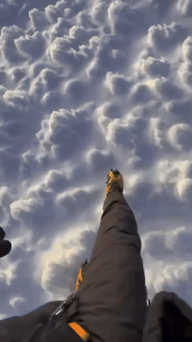 HangTen3227.gif