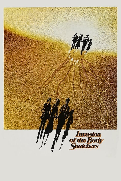 www.themoviedb.org