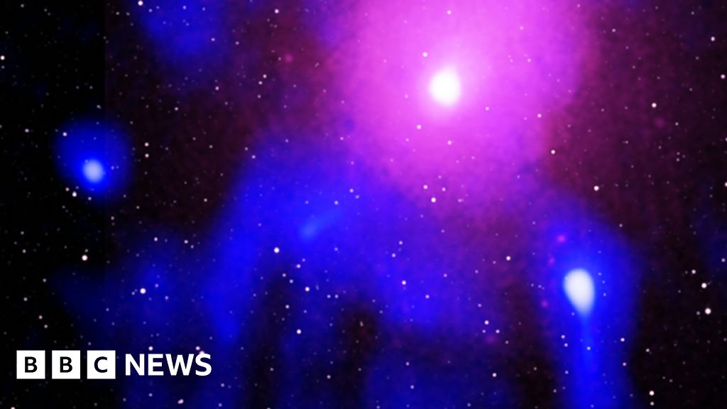 www.bbc.com