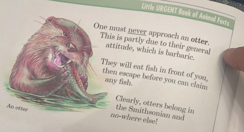 otters.jpg