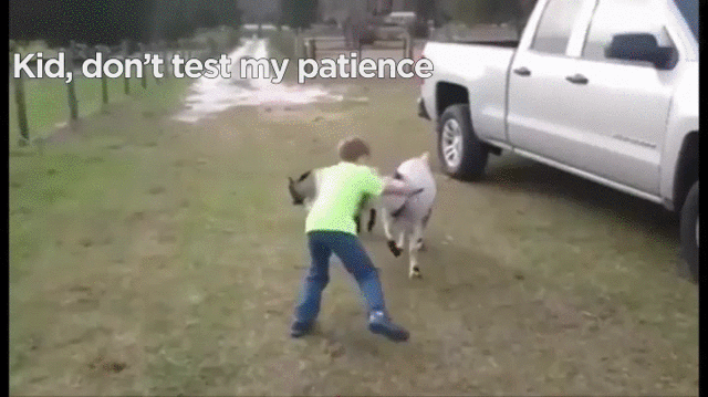 7z7p8k4xmlaz.gif