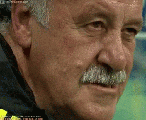 ricolino-scolari.gif