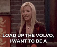 Season 9 Phoebe GIF by Friends