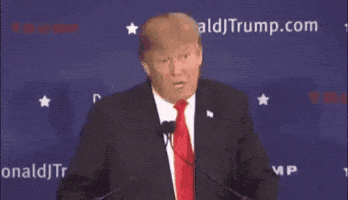 Trump Words GIF by moodman