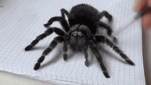 tumblr_nvvu4p1GLJ1qlrxcho5_500.gif