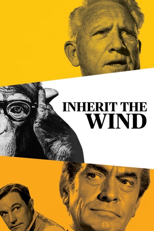 www.themoviedb.org
