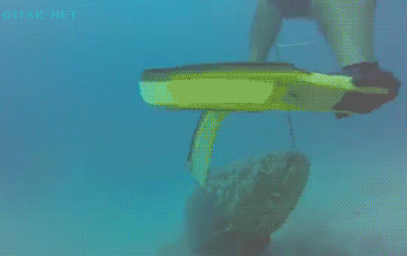 tumblr_n99y1wpsEr1s2yegdo1_400.gif