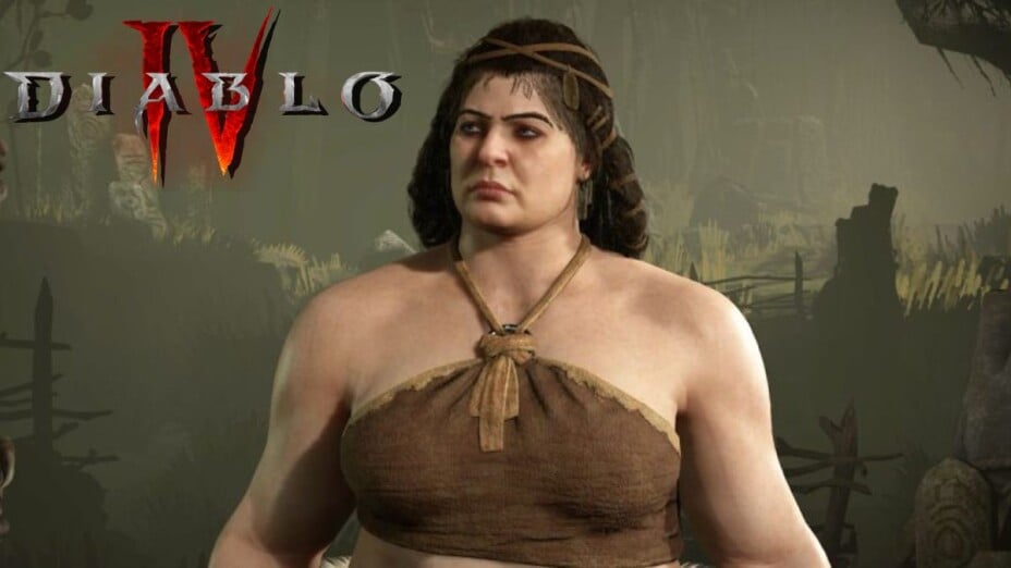 1680854-diablo-druide-article_image_t-2.jpg