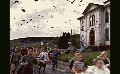 birds.gif