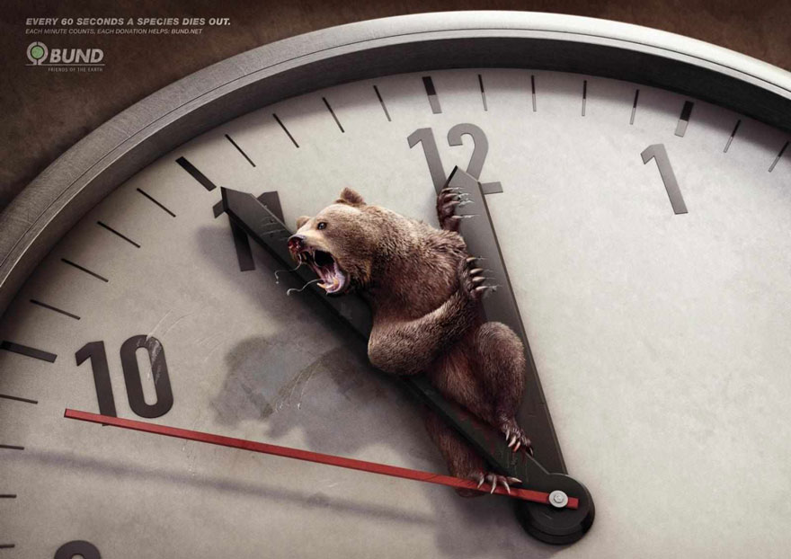 public-social-ads-animals-6.jpg