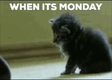 monday-monday-blues.gif