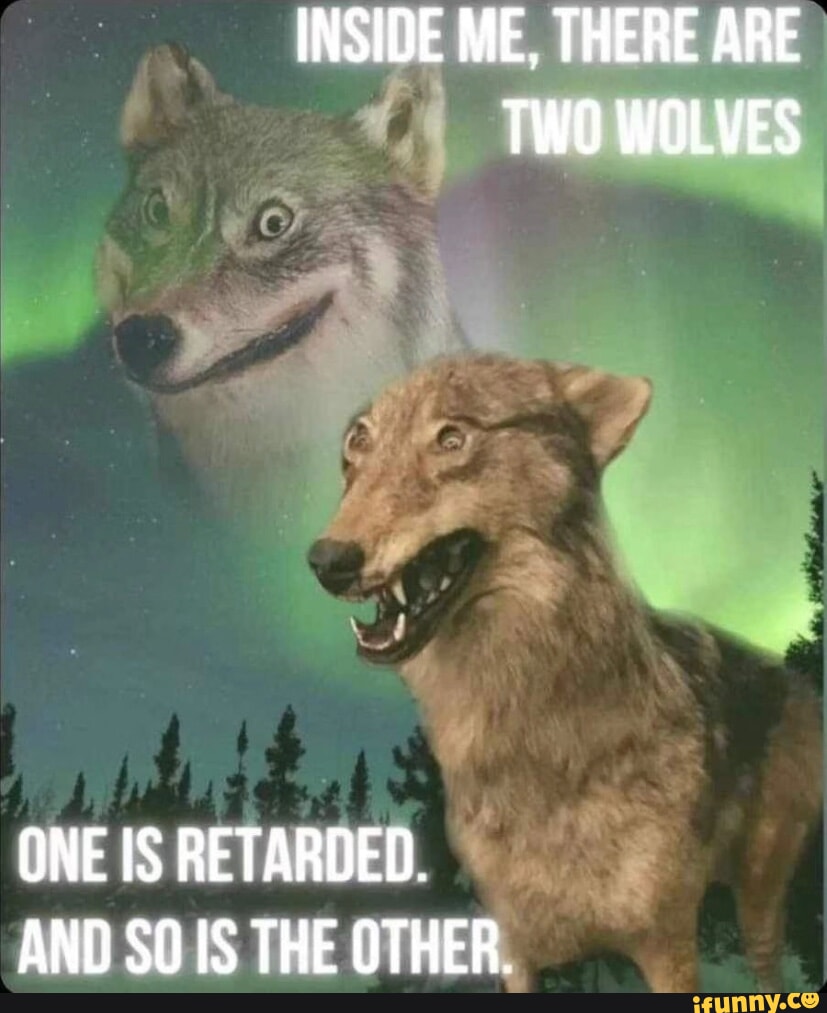 12231474b7ef1b905175755dc879b0997ab8e0b78c1147af299bfce3e9169715_1.jpg