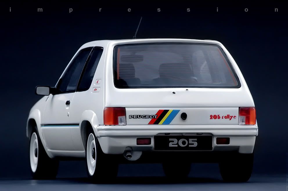 205-rallye3.jpg
