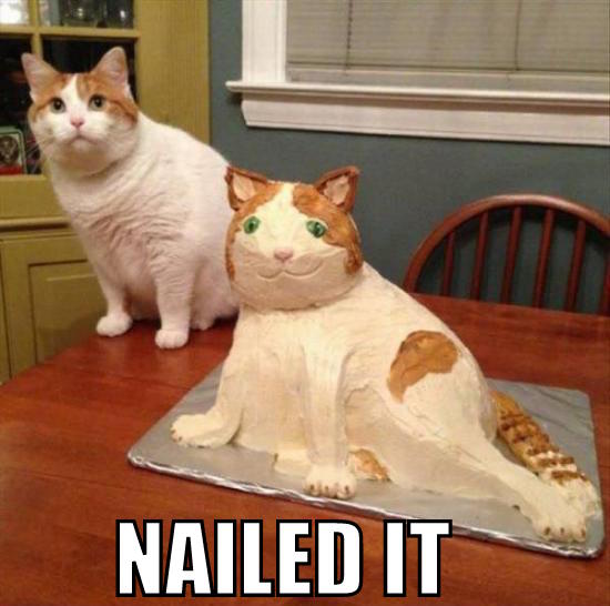 the-best-funny-pictures-of-NAILED-IT-cat.jpg