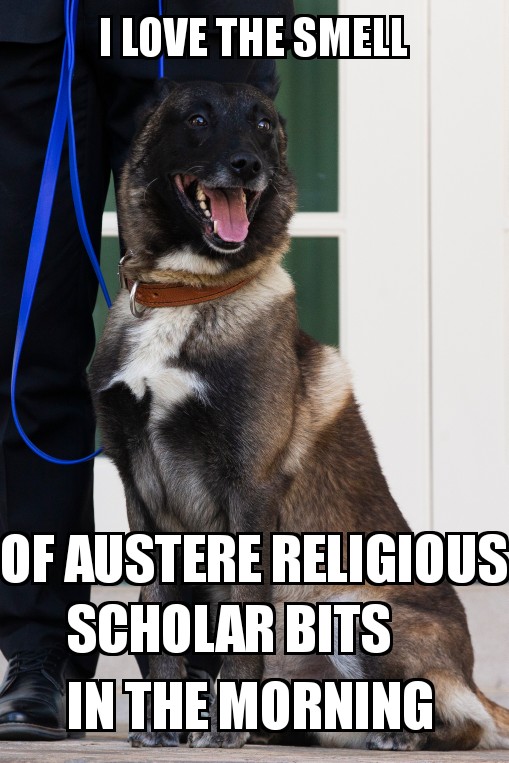 k5u0qfbx6c141.jpg