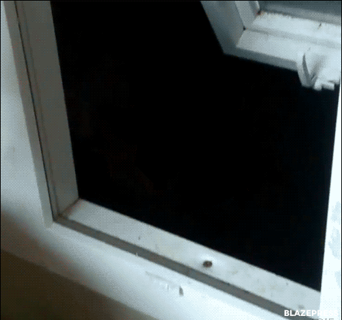 tumblr_nv54q9Zs0N1tq9q5vo1_500.gif