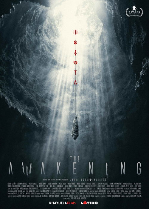 www.themoviedb.org