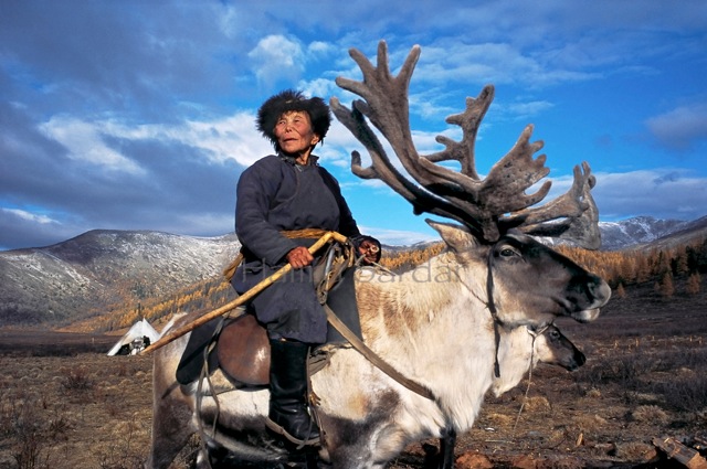 reindeerriders0.jpg