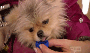 tumblr_mmvbu2dadc1rb87wyo1_400.gif