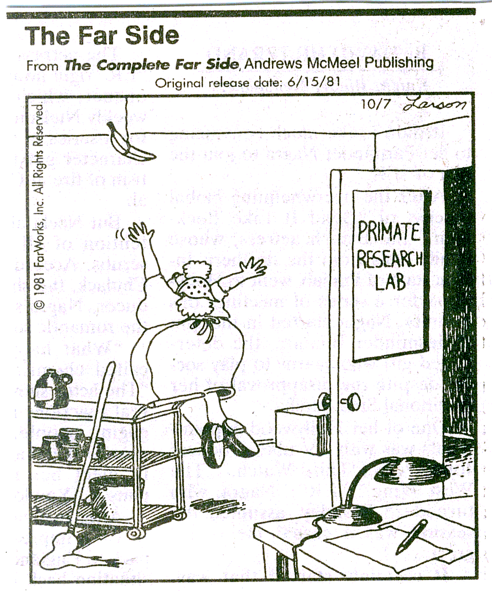 farside.primateresearchlab.gif