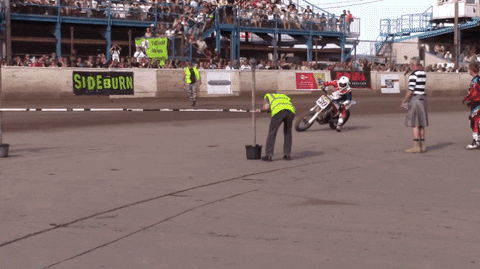 giphy.gif