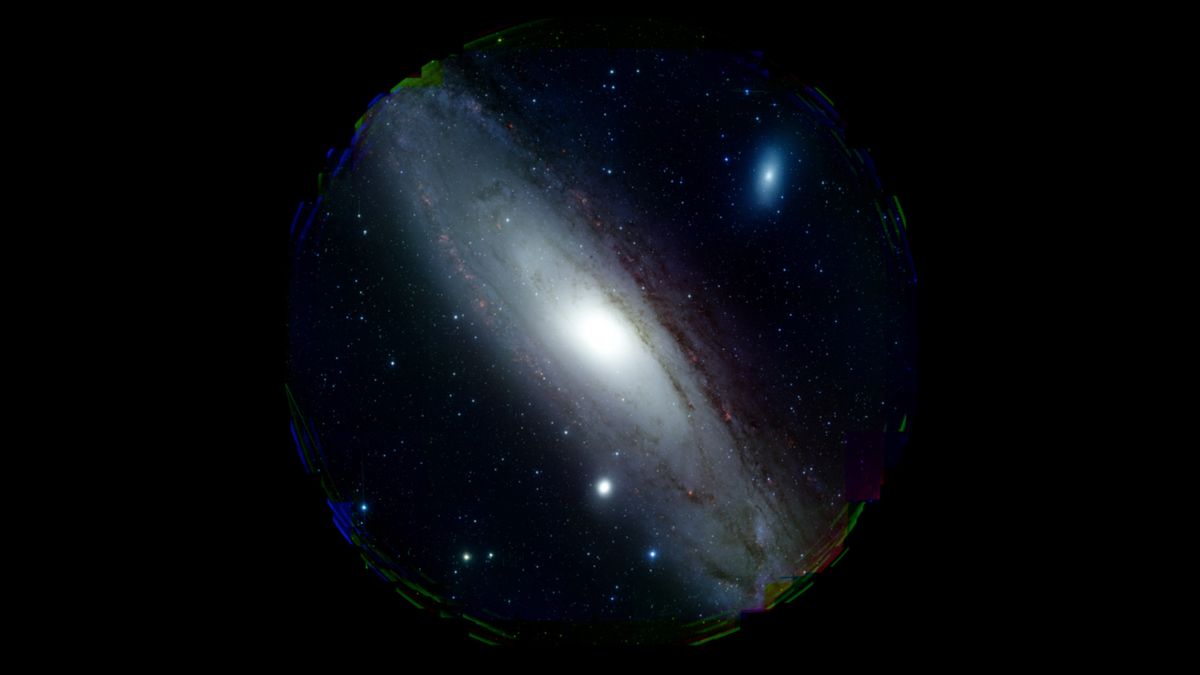 www.livescience.com