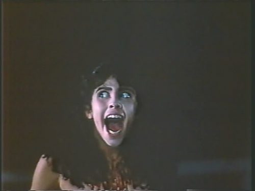 FELISSA1-e1522076971152.jpg