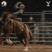 rodeo-horse-riding.gif