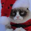 Izo_Grumpy_Santa_zpsc2564401.jpg