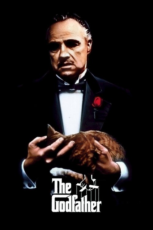 www.themoviedb.org