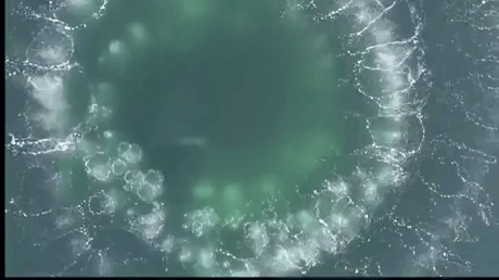 GrowingGardens2045.gif