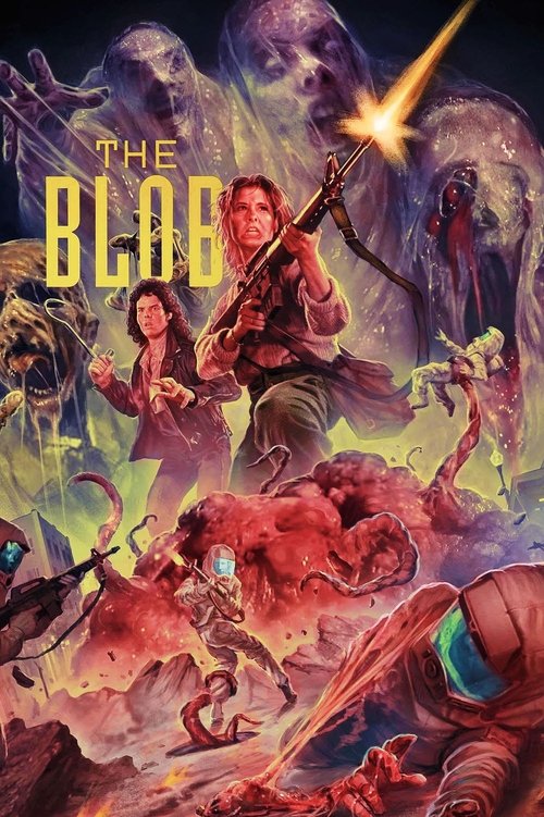 www.themoviedb.org