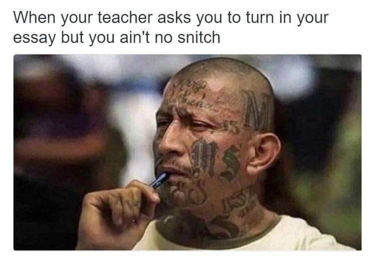 468692.jpg