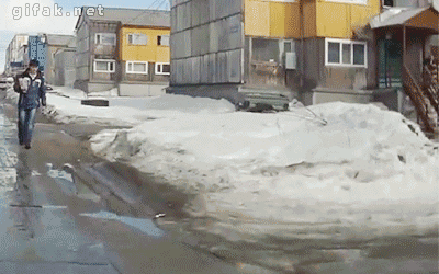 gifs_05.gif