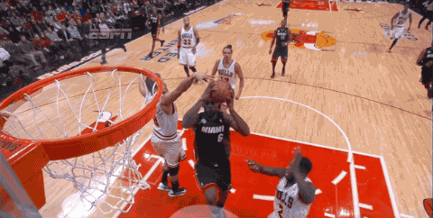 Nate-Robinson-Blocks-LeBron-James.gif